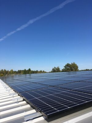 Bild mit Photovoltaik-Anlage auf Produktionshalle am Standort Schifferstadt